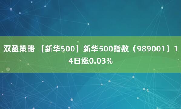 双盈策略 【新华500】新华500指数（989001）14日涨0.03%