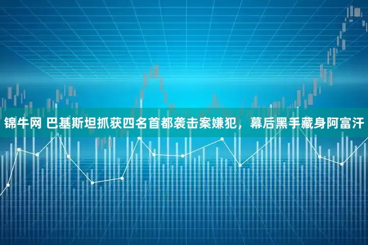 锦牛网 巴基斯坦抓获四名首都袭击案嫌犯，幕后黑手藏身阿富汗